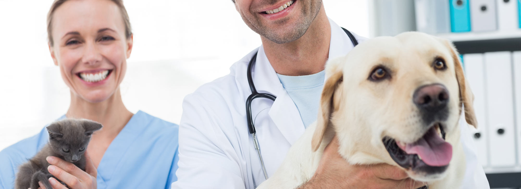 Smiling veterinarians looking after animals